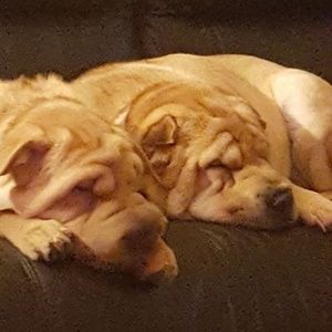 Meet your Posher, Marie